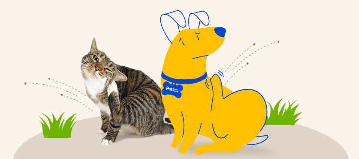 Seresto flea collar pet supermarket on sale